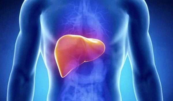 الكبد الدهني اللاكحولي Nonalcoholic fatty liver
