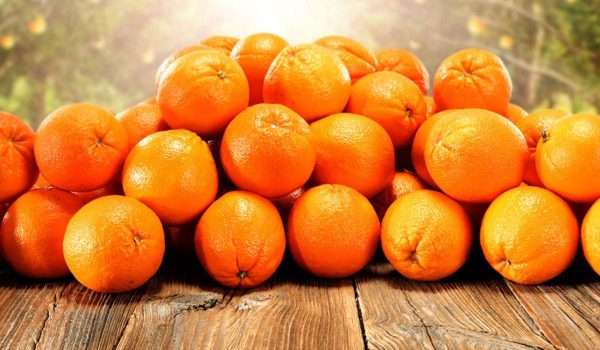 البرتقال-كنز-الشتاء