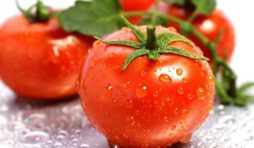 فوائد الطماطم