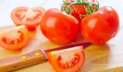 الفوائد الصحية لتناول الطماطم