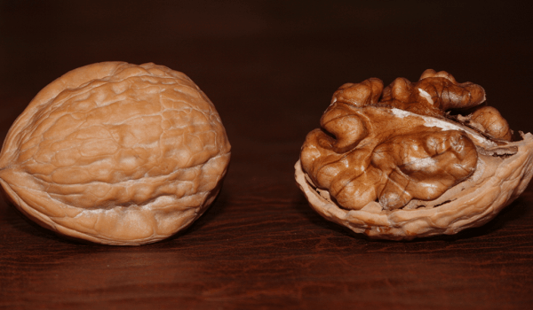 walnut news