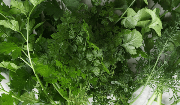 parsley and dill  news