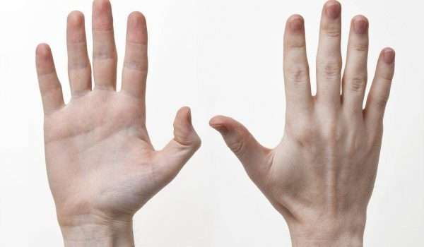 طول أصابع اليد