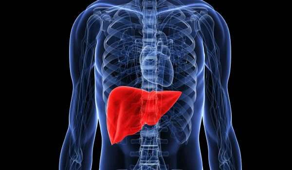 الفشل الكبدي الحاد Acute liver failure