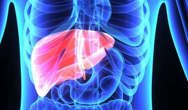 تضخم الكبد Enlarged liver