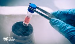 الخلايا الجذعية لعلاج العقم ما بين النظريات والتجارب العلمية