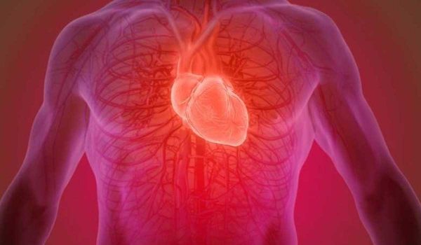 لأول مرة.. إنتاج عضلة قلب بشرية كاملة باستخدام خلايا جذعية !