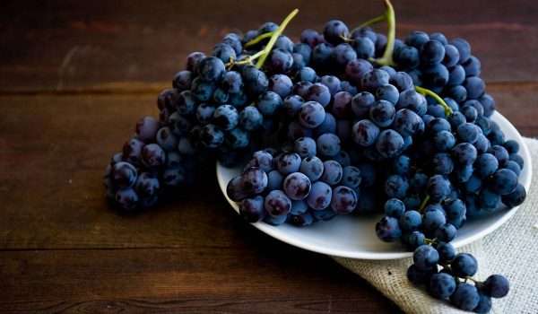 فوائد العنب والتوت لاتعد.. يحافظان على صحة الرئة والتنفس لديك