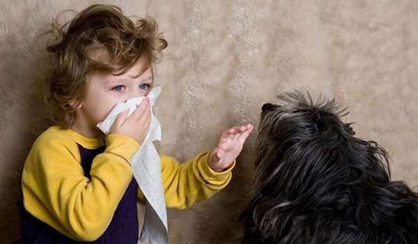 حساسية الحيوانات الاليفة Pet Allergy