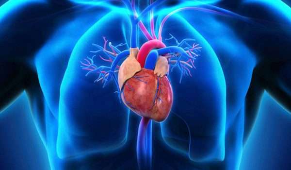 اعتلال عضلة القلب التضخمي Hypertrophic cardiomyopathy