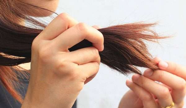 علاج تقصف الشعر بوصفات منزلية سهلة