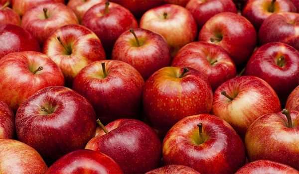 فوائد التفاح الأحمر .. تفاحة يوميا قد تُبقي الطبيب بعيدًا