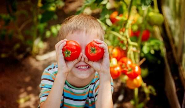 فوائد الطماطم للاطفال