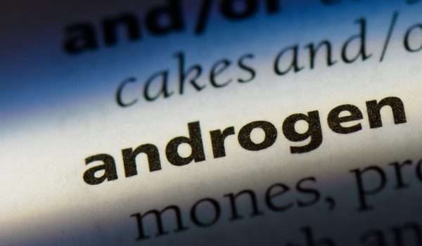 الاندروجين Androgen