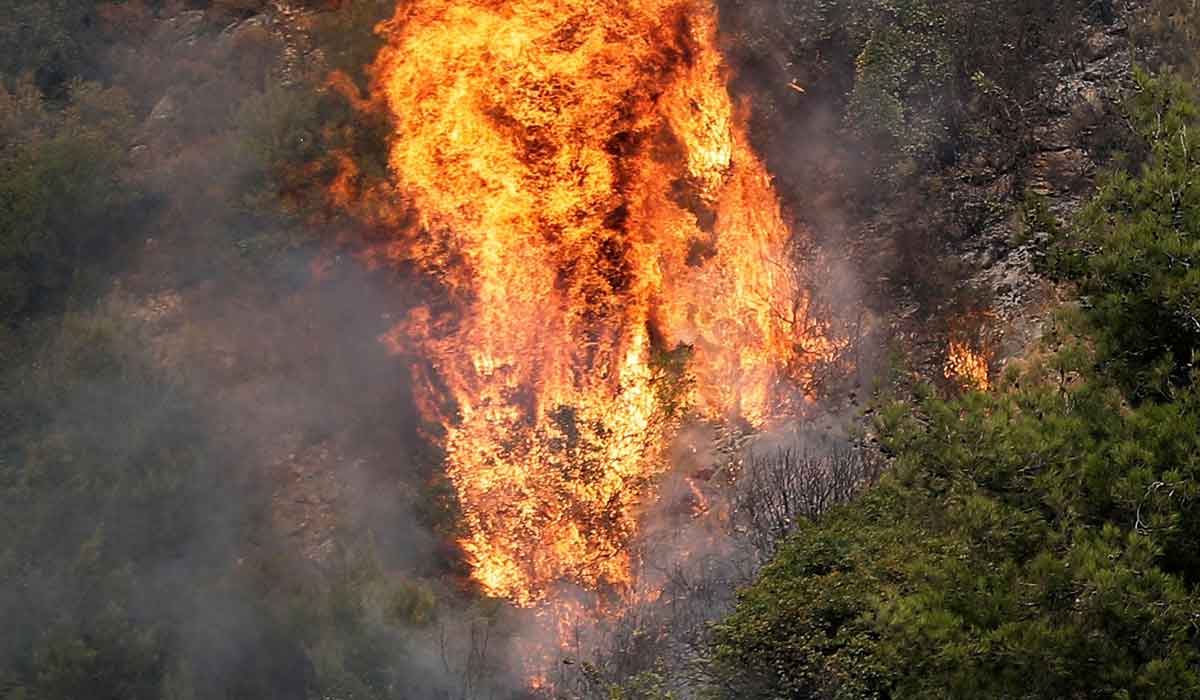 لبنان يحترق بسبب الغابات وطوارئ لمحاولة السيطرة عليها