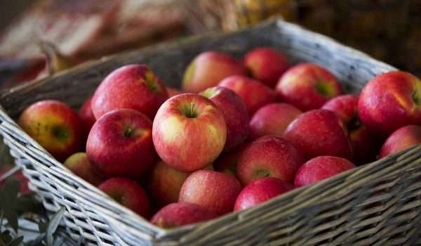السعرات الحرارية في التفاح وقيمته الغذائية