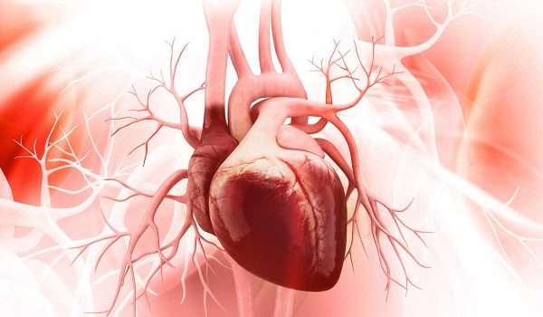 تحليل وظائف القلب