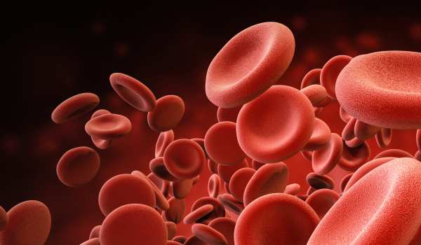 ما هو تحليل سيولة الدم للحامل