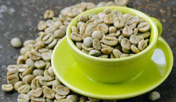 فوائد القهوة الخضراء: وطريقة استخدامها للتخسيس