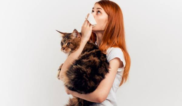 حساسية القطط : أعراضها وتشخيصها وطرق علاجها