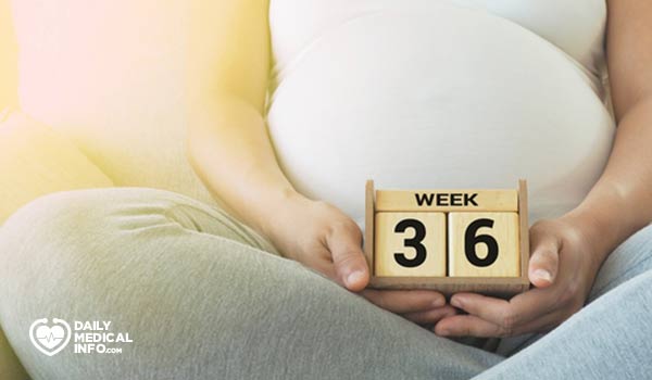حاسبة الحمل وموعد الولادة بالميلادي والهجري