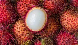 فاكهة الرامبوتان: اكتشف فوائدها الصحية وطريقة تناولها