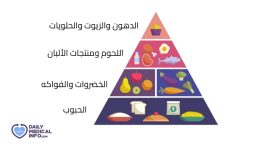 ما هو الهرم الغذائي وفوائده Food Pyramid (دليل شامل)