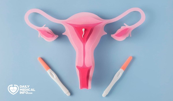 متى تبدأ إفرازات الحمل بعد التبويض؟