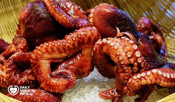 6- الإخطبوط Octopus