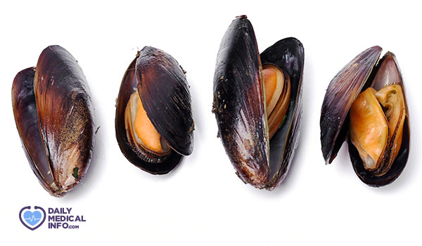 5- بلح البحر Mussels