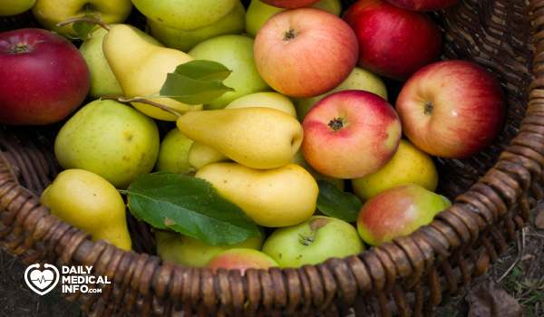 الفواكه التفاحية Pome Fruits